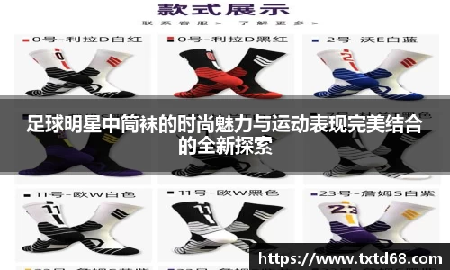 赢博官网地址
